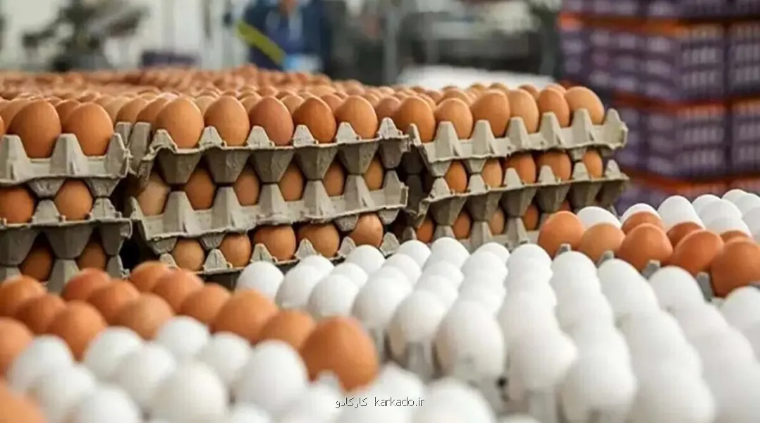 قیمت واقعی هر شانه تخم مرغ