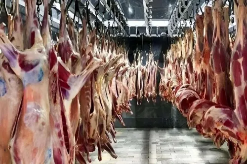 قیمت جدید گوشت قرمز امروز ۲ مرداد ۱۴۰۵
