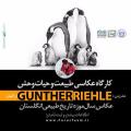 عكاس مطرح آلمانی داور جشنواره خیام شد