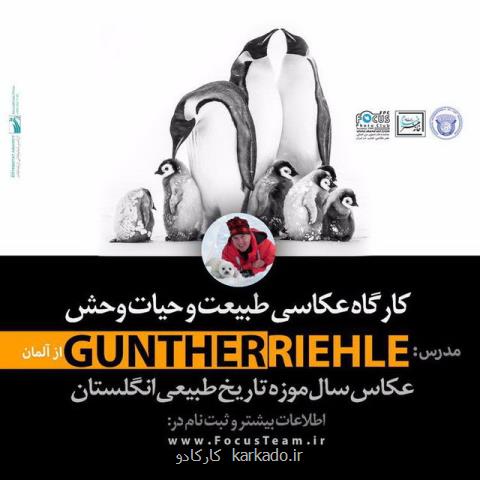 عكاس مطرح آلمانی داور جشنواره خیام شد
