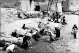 آگهی یك كارگردان سینما نسبت به تكرار فاجعه شیراز در همدان